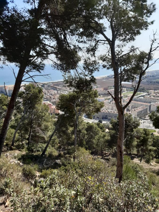 Blau Park Ii, Apartament L'Estartit